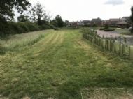 Click for all images